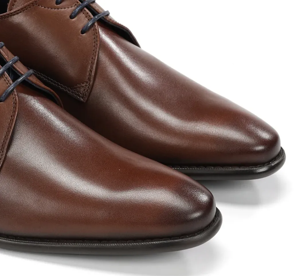 ALEX 9204 Zapato Marrón