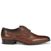 GOLEM 9952 Zapato Marrón