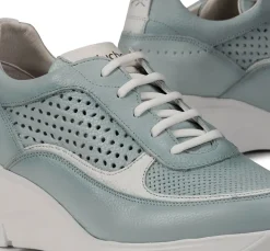 OLAS F1407 Deportivo Celeste