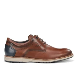 TAYLOR F2091 Zapato Marrón