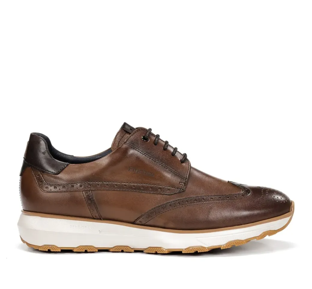 WALTER F2080 Zapato Marrón
