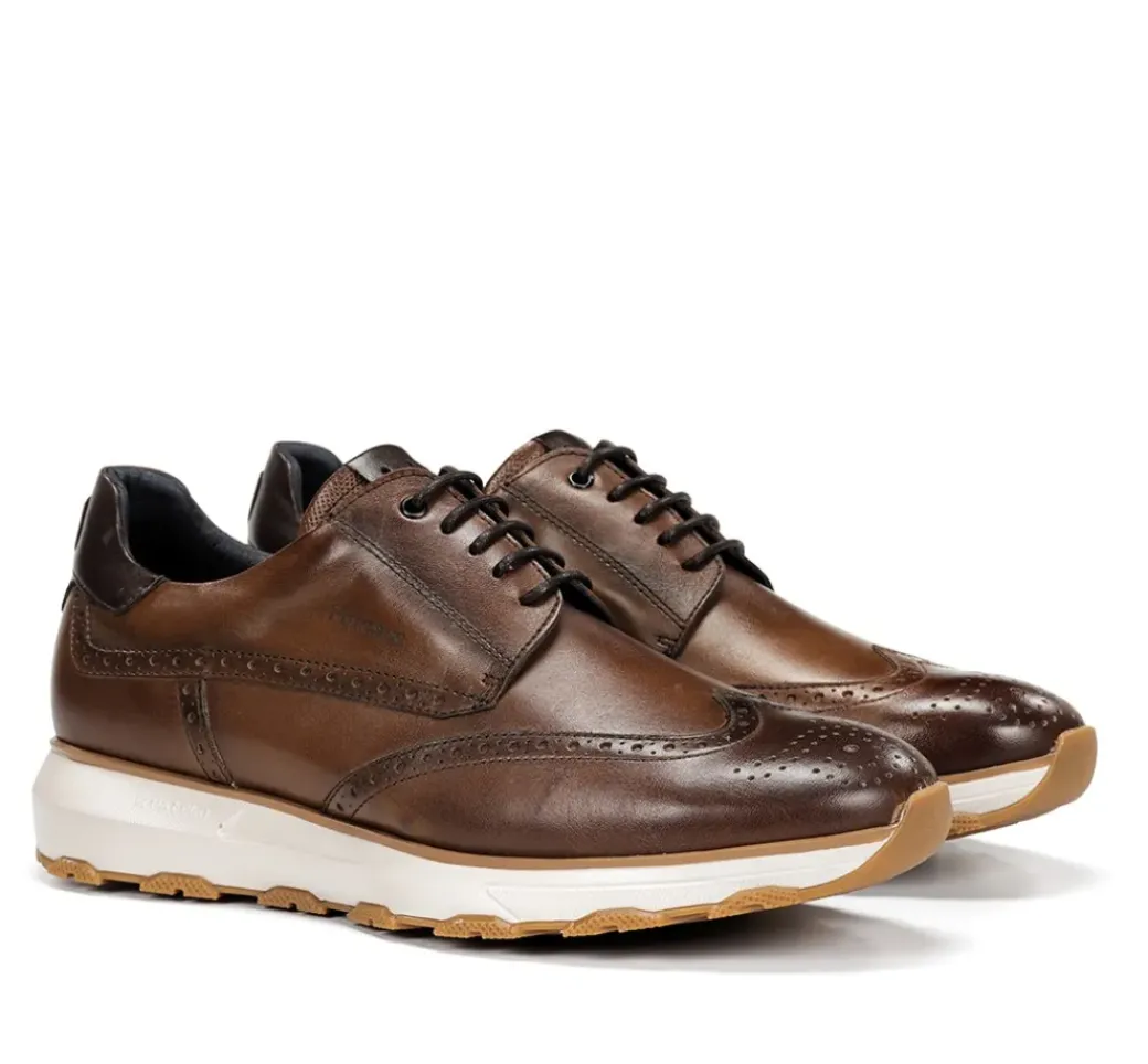 WALTER F2080 Zapato Marrón